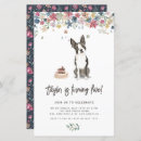 Search for boston terrier birthday Dog