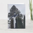 Search for catholic sympathy cards Church
