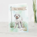 Search for bedlingtons cards Bedlington terrier