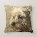 Search for yorkshire terrier cushions Canine