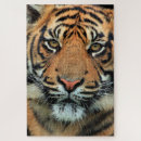 Search for tiger face puzzles Beautiful