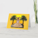 Search for dog joke birthday cards Dachshund