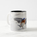 Search for bluebird coffee mugs Songbird