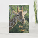 Search for hei cards For him