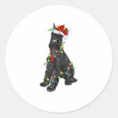 Search for giant schnauzer stickers Weimaraner