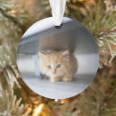 Search for persian cat christmas tree decorations Kitten