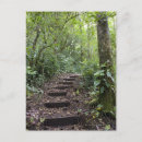 Search for cloud forest postcards Nature