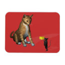 Search for some magnets Cute