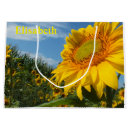 Search for yellow sunflowers gift bags Plant