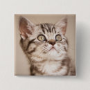 Search for grey tabby cat badges Pet