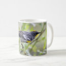 Search for warblers mugs Wildlife