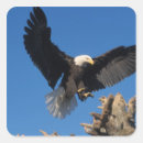Search for bird of prey stickers Homer