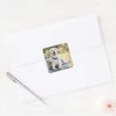 Search for yellow labrador stickers Animal