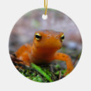 Search for salamander christmas tree decorations Animal