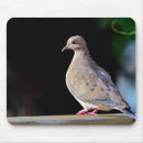 Search for mourning mousepads Doves