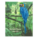 Search for colourful parrot posters Macaw