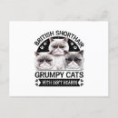 Search for grumpy postcards Funny cat