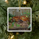 Search for calf christmas tree decorations Africa