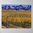 Search for ava posters Rural