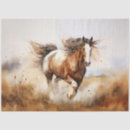Search for clydesdale horse Beautiful