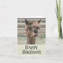 Search for amusing cards Animal