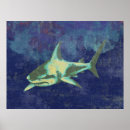 Search for blue shark posters Wildlife