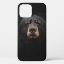 Search for brown bear iphone cases Landscape