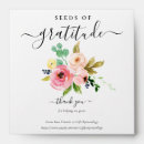 Search for seed packet Boho