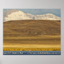 Search for bird migration posters Chuck