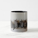 Search for puss mugs Kitty