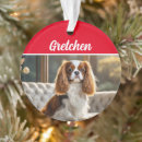 Search for cavalier king charles spaniel christmas tree decorations Animals