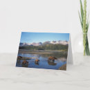 Search for predators cards Wildlife