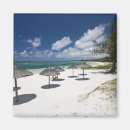 Search for mauritius magnets Island