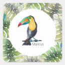 Search for toucan stickers Jungle