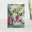 Search for dalmatian cards Animal lovers