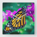 Search for monarch butterfly art Photography