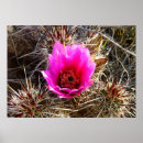 Search for prickly posters Floral