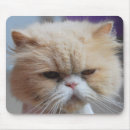 Search for purr mousepads Kitty