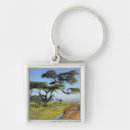 Search for primitive key rings Africa