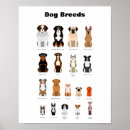 Search for dog breed posters Breeds