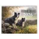 Search for border collie calendars Puppies
