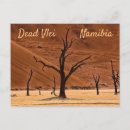 Search for dead postcards Landscape