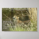 Search for cat butterfly art Monarch