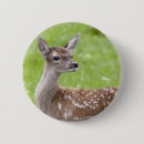 Search for red deer badges Animal