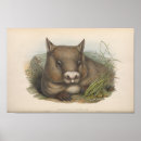 Search for animal kindness posters Retro