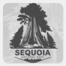 Search for sequoia national park stickers Forest