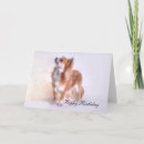 Search for chihuahua birthday cards Dog