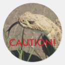 Search for rattlesnake stickers Reptiles