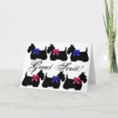 Search for wheaten terrier postcards Scottish