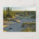 Search for northwest territory postcards Janis miglavs